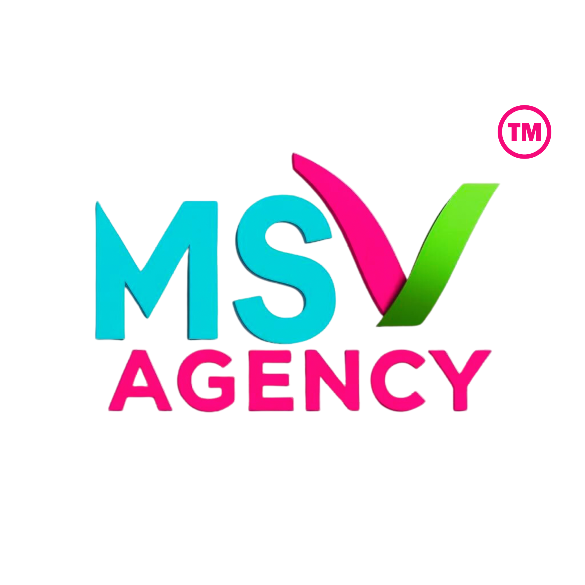MSV Agency Logo